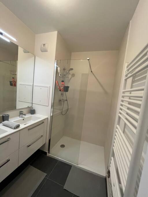 Magnifique Appartement Sur La Seine Alfortville Dış mekan fotoğraf